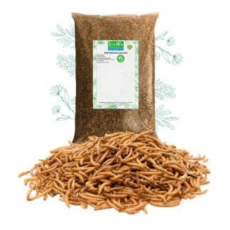 StaWa Mehlwürmer getrocknet – jetzt kaufen bei Stadtmühle Waldenbuch