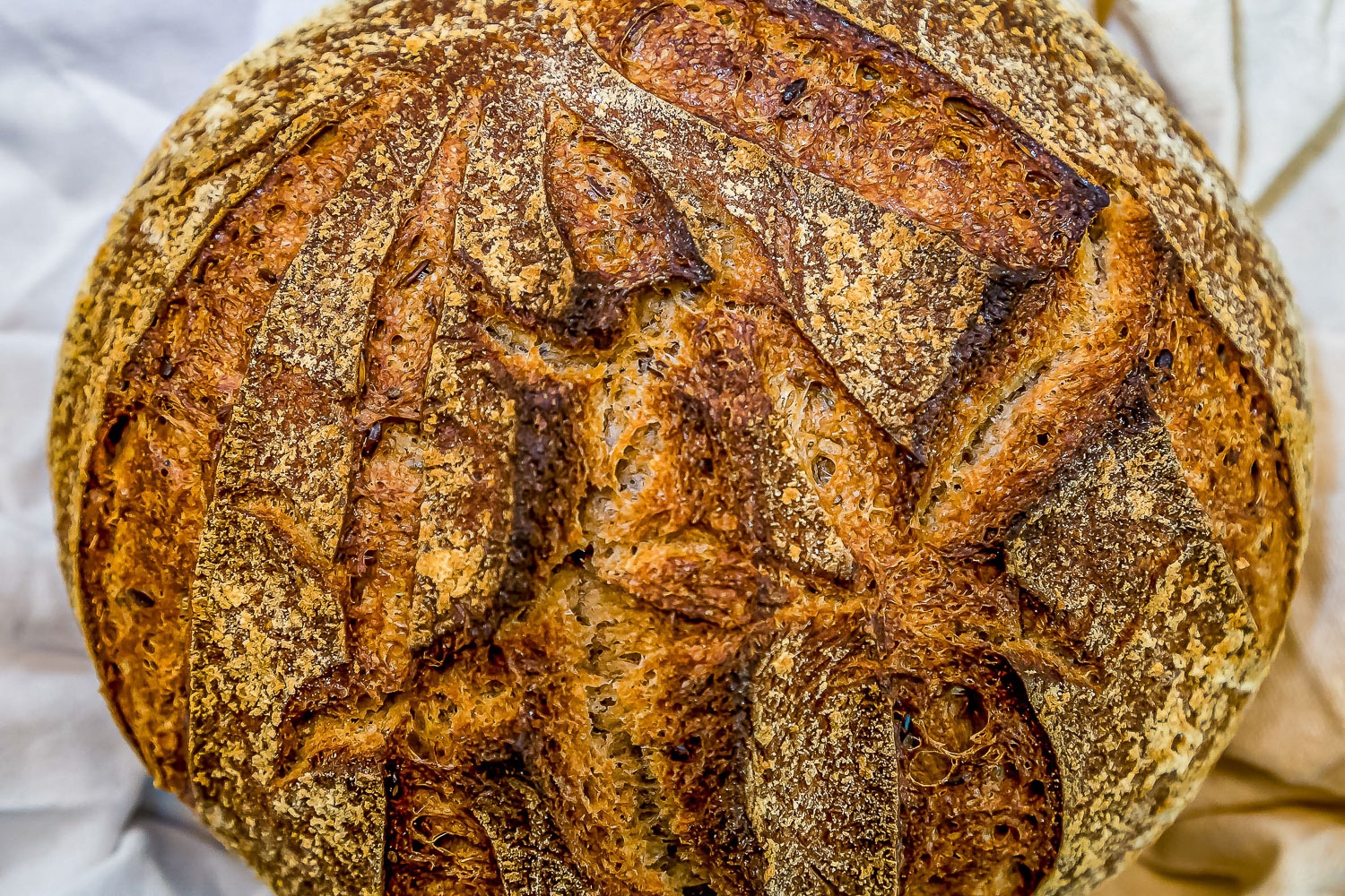 Leinsaat Boule - ein Superfood Brot Brotbackrezept