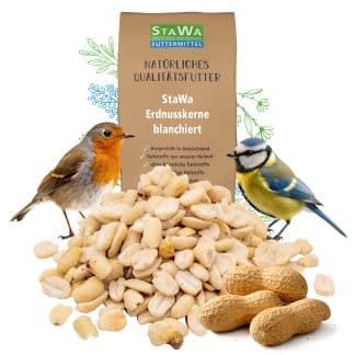 StaWa Erdnüsse blanchiert – jetzt kaufen bei Stadtmühle Waldenbuch