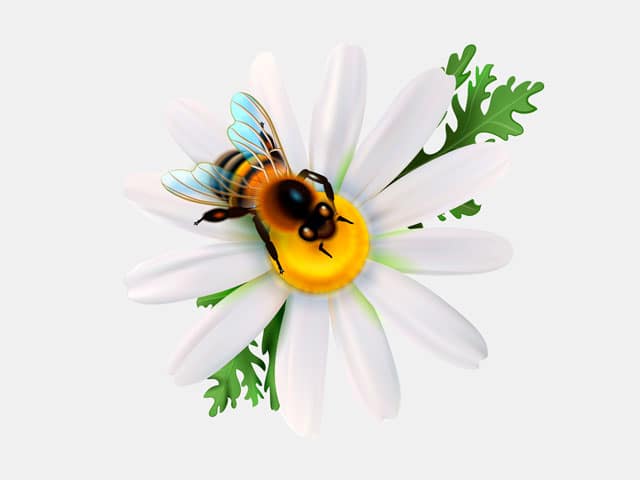 Stilisierte Biene und Blüte