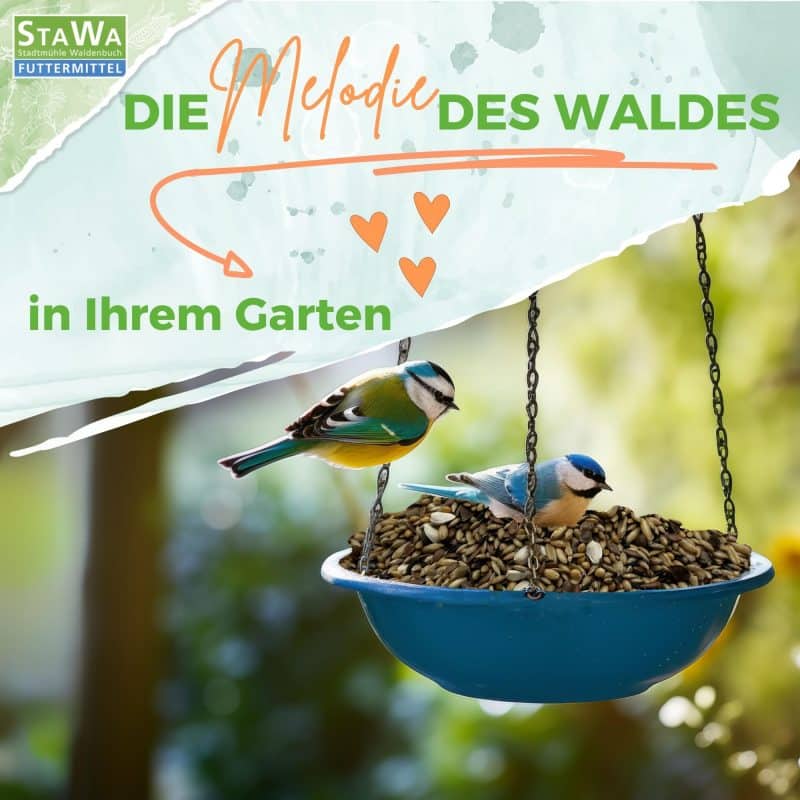 StaWa Waldvogel-Mix – Detailbild 1 – jetzt kaufen bei Stadtmühle Waldenbuch