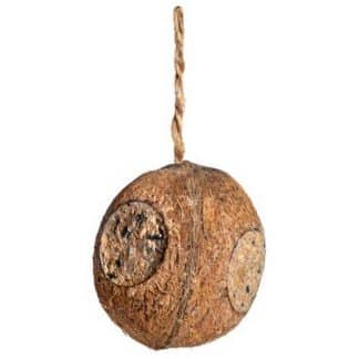 Gefüllte Kokosnuss