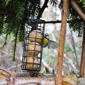 Pfiffikus Meisenknödel Spenderbox 1 Stück – jetzt kaufen bei Stadtmühle Waldenbuch
